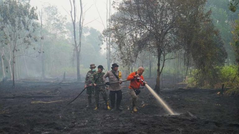 বিশ্বে সাড়ে ৪ লাখ মানুষের প্রাণহানির শঙ্কা, যারা সর্বোচ্চ ঝুঁকিতে