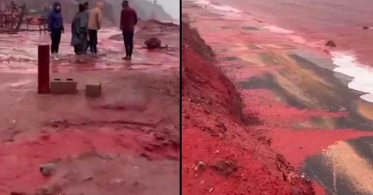 ভারি বৃষ্টির পরে ইরানে লাল রঙে রঙিন হলো মাটি, ভিডিও ভাইরাল